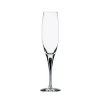 Orrefors - Intermezzo Blue Champagne Flute 1 Orrefors - Intermezzo Blue Champagne Flute -Home Kitchen Sale Shop 122504 Large