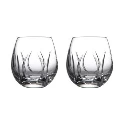Waterford - Ardan Tonn Stemless Wine Pair 2pce 500ml
